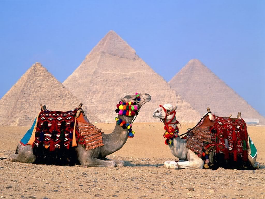 foto_egypt_Cairo_2.jpg