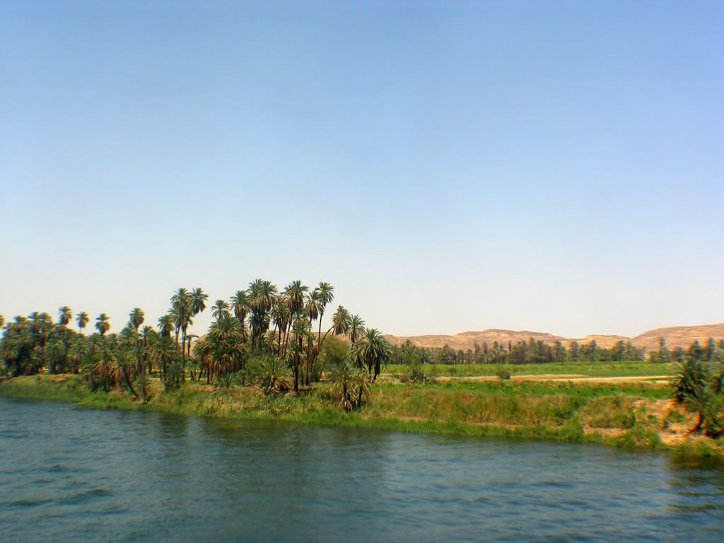 nile_39.jpg