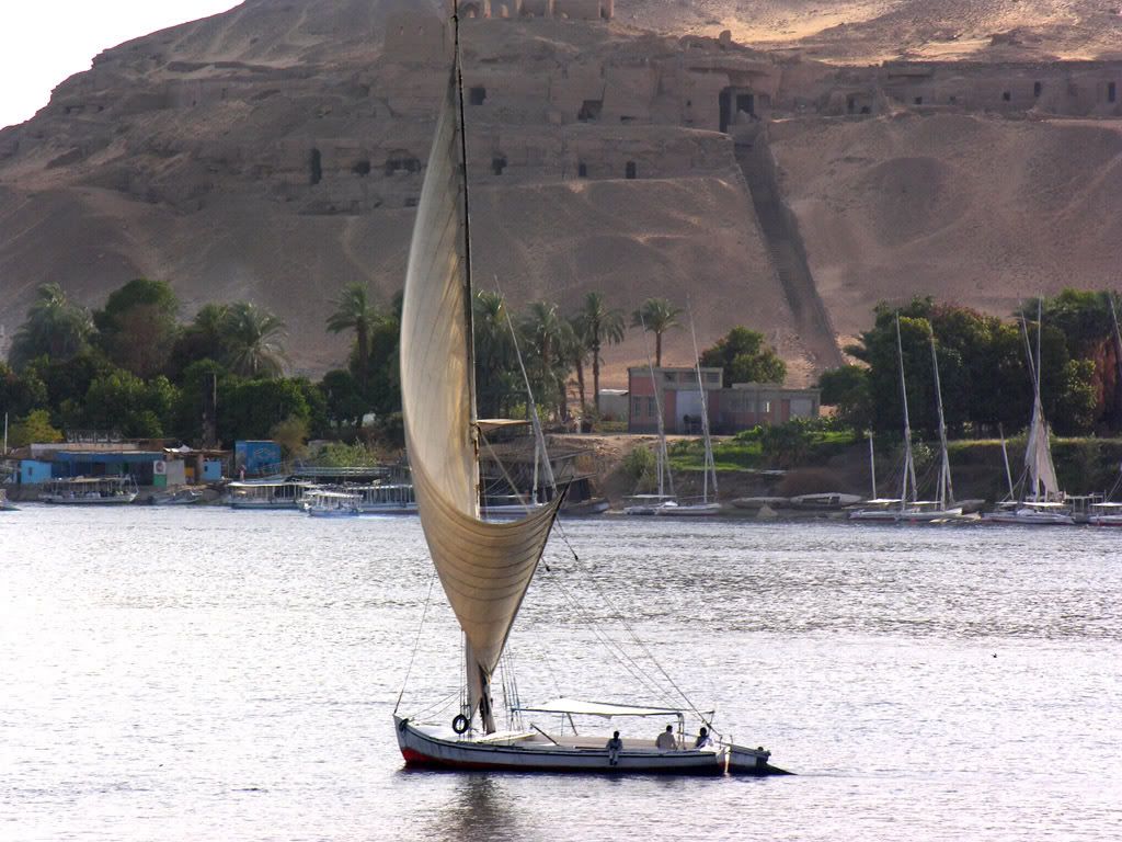 nile_83.jpg