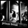 prisonbreakicons112so3gt.jpg