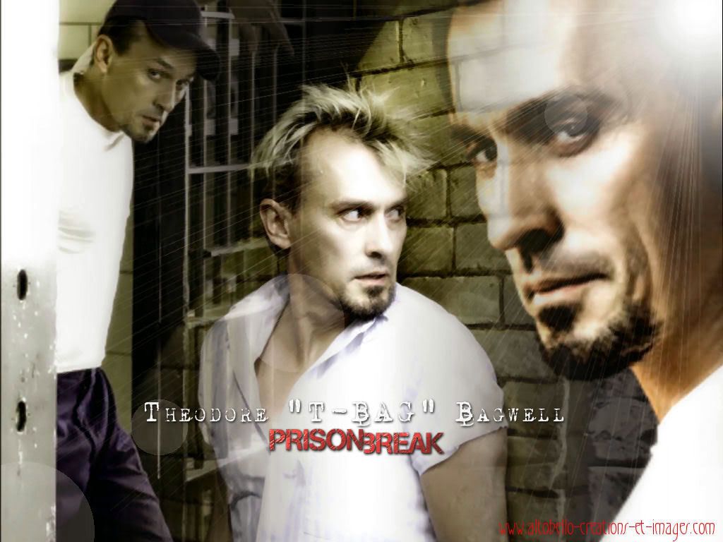 prisonbreakwallpaper004wk8.jpg