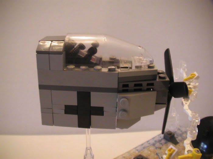 gull4.jpg