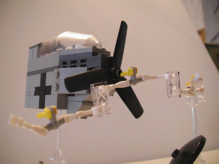 gull9.jpg