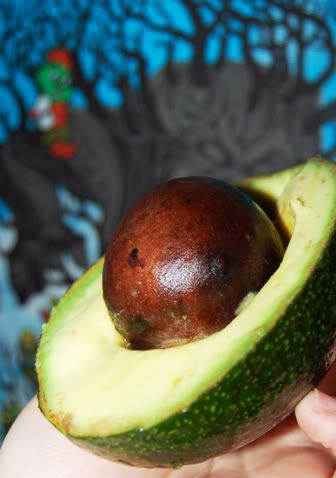 avocado-1.jpg