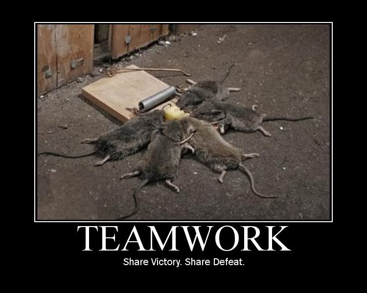 teamwork3.jpg