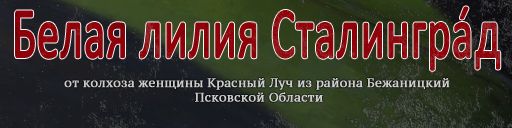 whitelilyofStalingrad1_zpsba8392c5.jpg
