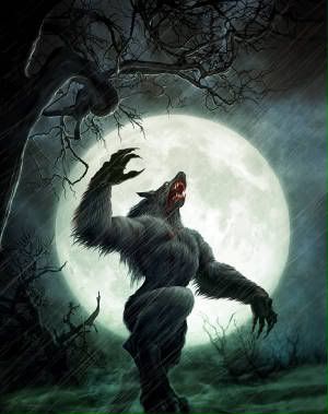 Lycan Vs Werewolf