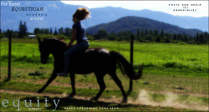Equity Equestrian Academy - EEA