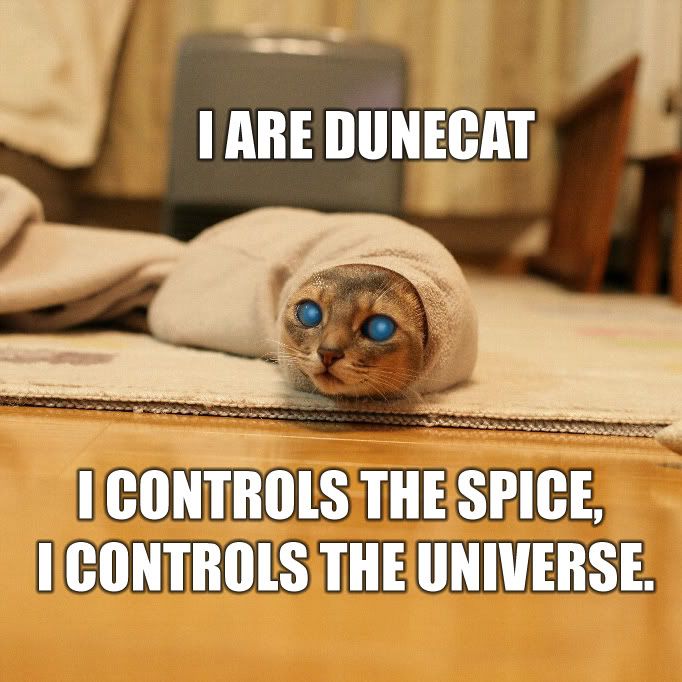 http://i181.photobucket.com/albums/x256/funnypixcom/pets/dunecat.jpg