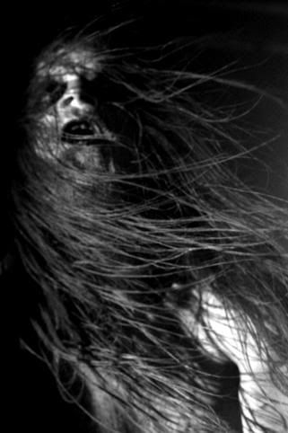 Hoest from Taake