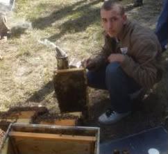 Ed Russell checking  out a beehive looking for the quenn