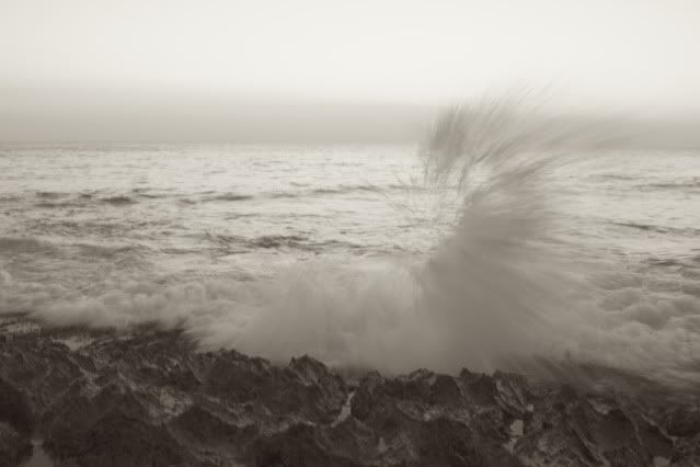 IMAGE: http://i181.photobucket.com/albums/x271/odsixer/IMG_6488.jpg