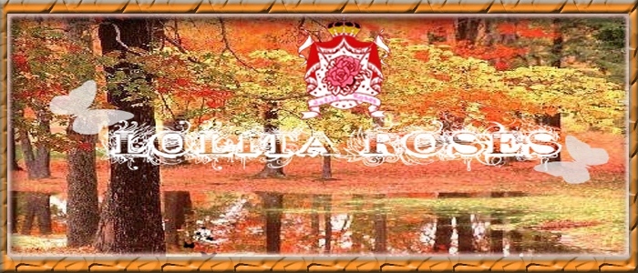 ๑۩۞۩๑Lolita Roses Forum๑۩۞۩๑♣