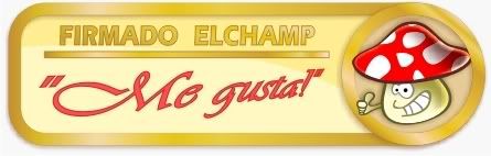 Imagen Enviada