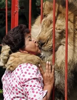 capt9aef16f206e74db9ba3dd89e4e1f093.colombia_animal_shelter_bog108.jpg Lion Kisses Lady image by memish06