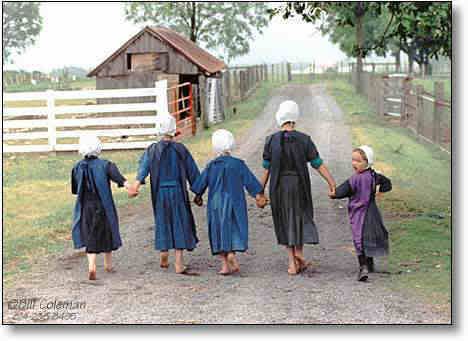 Amish photo: amish amish.jpg