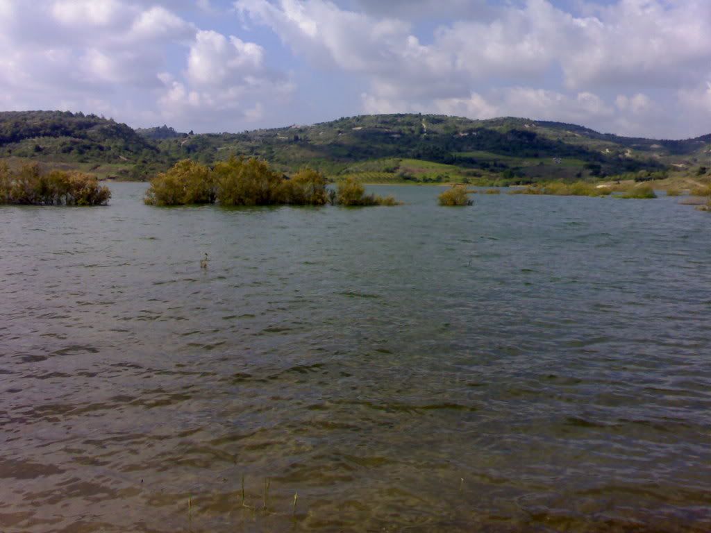 19042007502.jpg