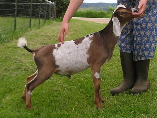 Jasper as a kid