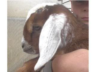 Jasper's head as a baby
