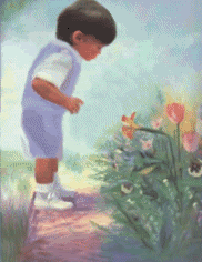 smell the flowers Pictures, Images and Photos