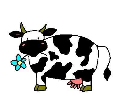 Cow-1.jpg