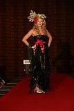 miss earth 2011 national costume competition belgium aline decock