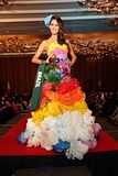 miss earth 2011 national costume competition brazil drielly bennettone