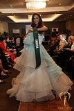 2011 miss earth india