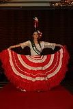 miss earth 2011 national costume competition paraguay nicole huber