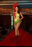 miss earth 2011 national costume competition puerto rico agnes benitez