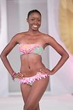 Bermuda 2011 Miss World Candidate