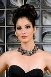 Honduras 2011 Miss World Candidate