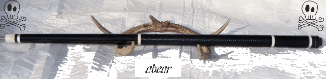 brian002-1.gif