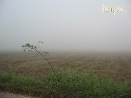 หนาวแล้ว