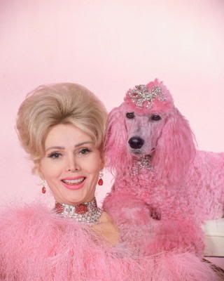 Zsa Zsa Pictures, Images and Photos