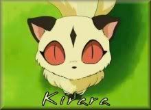 kirara-1.jpg Kirara stare image by BlackRosesAssasinWolf