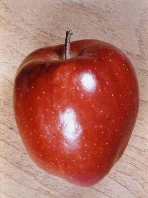 DSCN0479.jpg