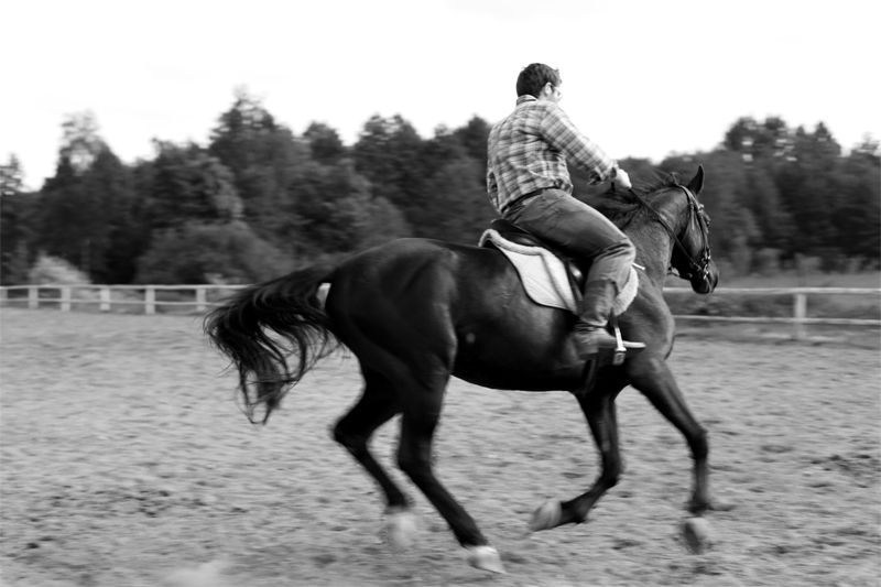 Sula Photobucket