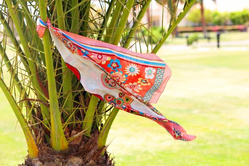 photo lara_summer_wind.jpg