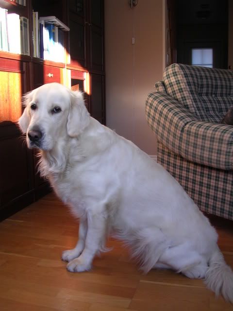 DSCN3174.jpg
