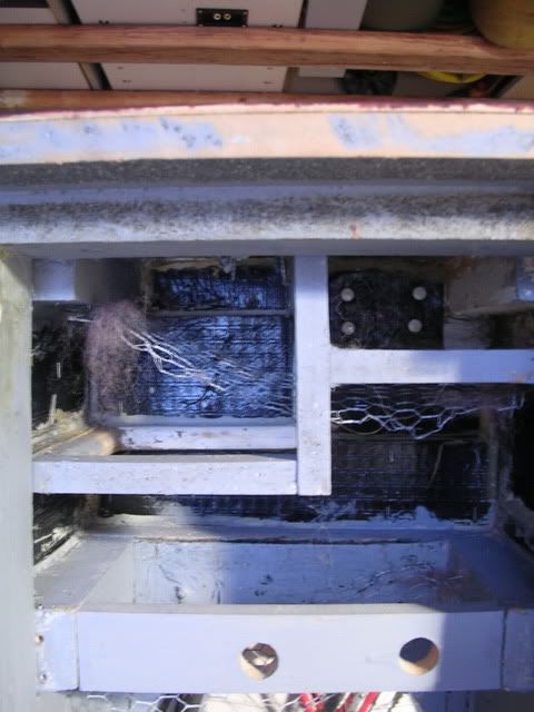 DSCN3340.jpg