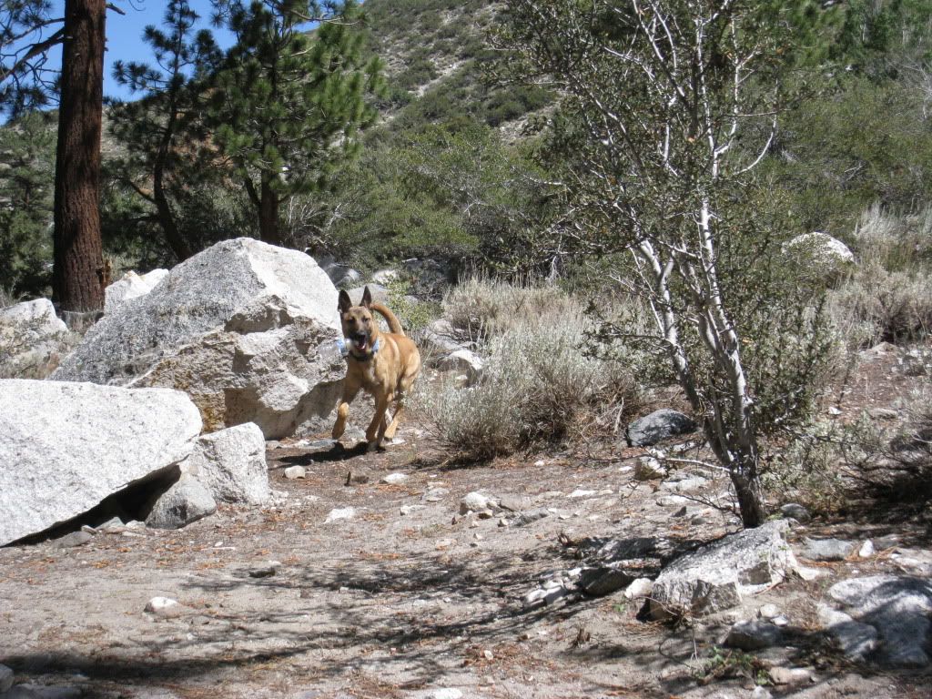 8-7-09-8-9-09BigPineBackpack016.jpg