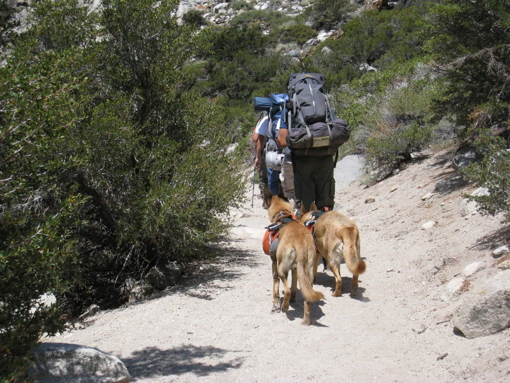 8-7-09-8-9-09BigPineBackpack026.jpg