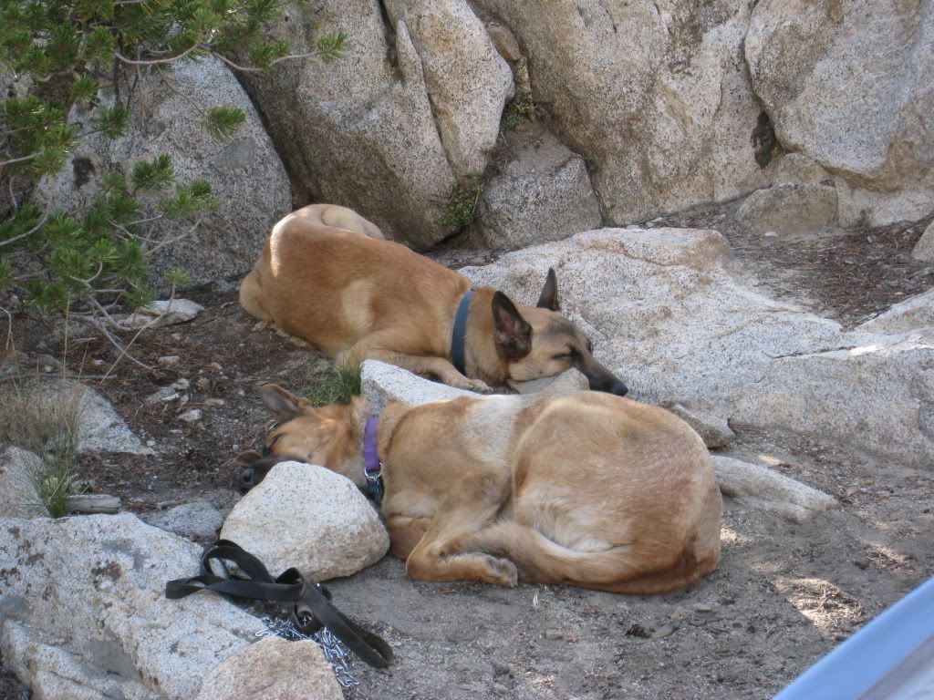 8-7-09-8-9-09BigPineBackpack065.jpg