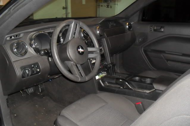 06blkmustan003.jpg