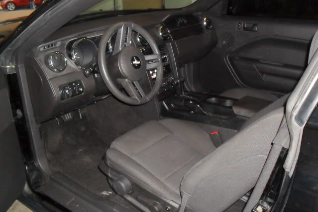 06blkmustan005.jpg