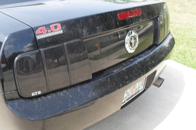 06blkmustang006.jpg
