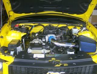 Mustang025.jpg