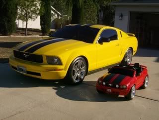 baby008.jpg
