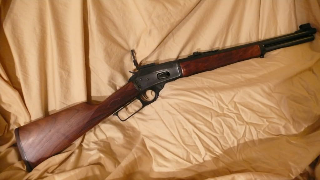 Skinner ladder sight on 1894S